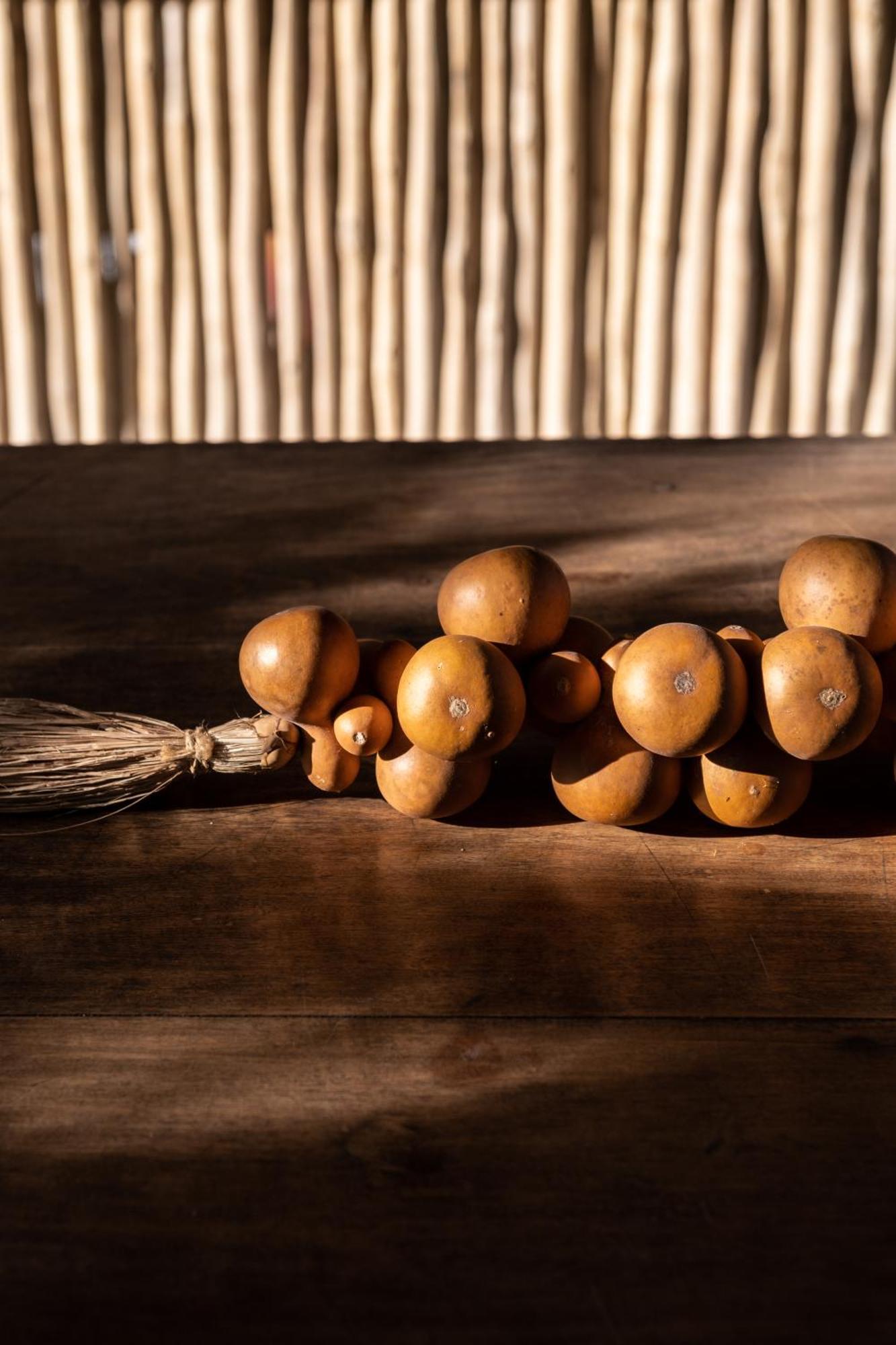 Casa Das Conchas Caraíva Eksteriør billede